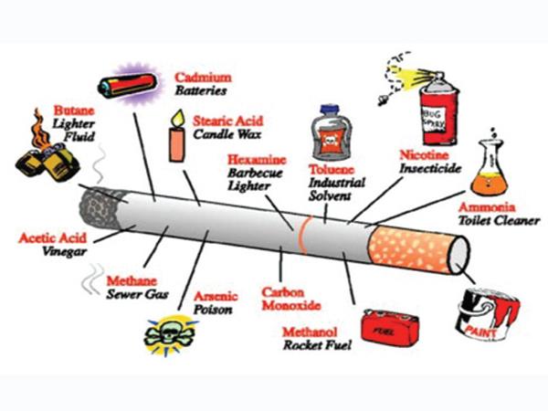 Nguồn gốc ung thư trong thuốc lá truyền thống