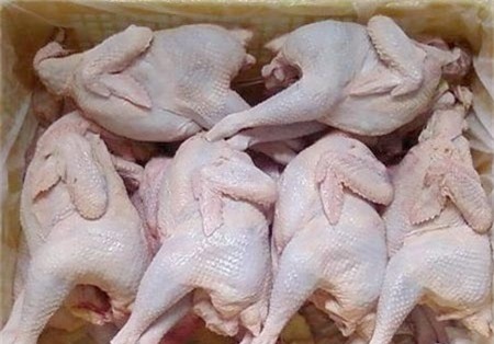 Mách bạn mẹo phân biệt gà ta và gà Trung Quốc chính xác