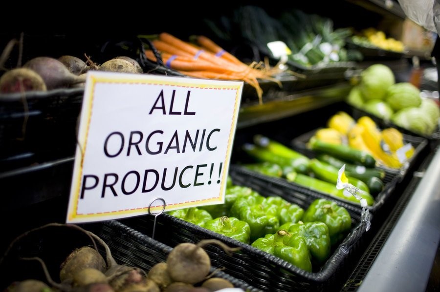 Một quy trình sản xuất rau hữu cơ cần gì?