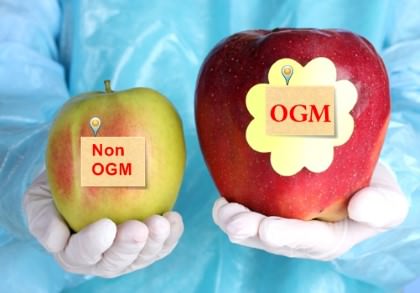 Thực phẩm biến đổi gen (GMO) là gì?