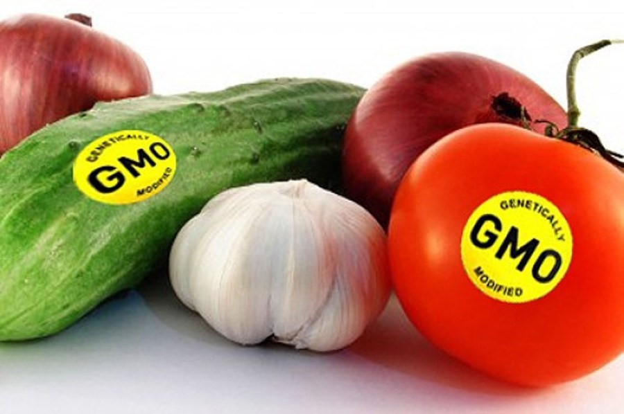 Dán nhãn thực phẩm biến đổi gen GMO: Nhìn từ thế giới về Việt Nam