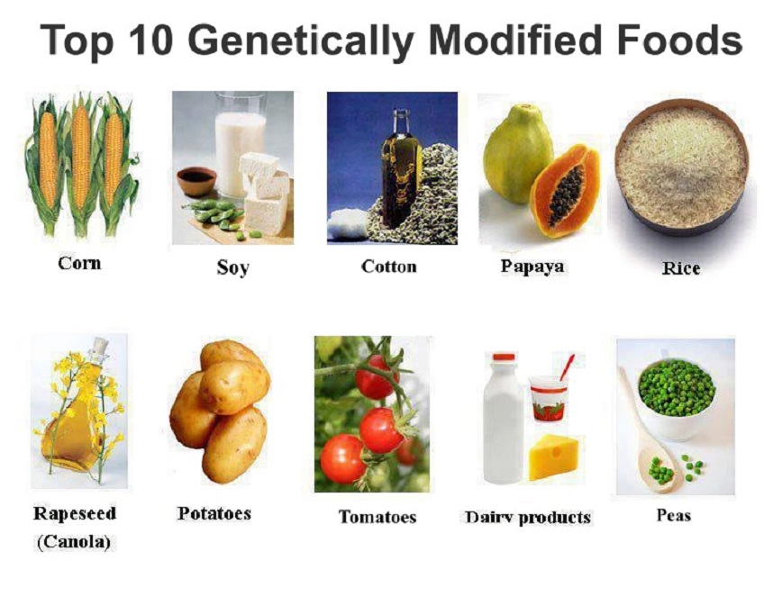 Cách nhận biết thực phẩm biến đổi gen GMO - Bảo vệ sức khỏe của gia đình đúng cách