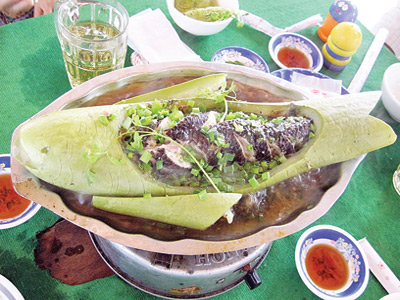 Chế biến món cá lóc hấp bầu Bình Thuận