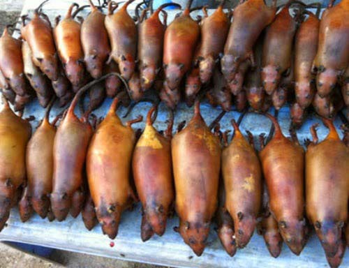 Thịt chuột La Chí Hà Giang