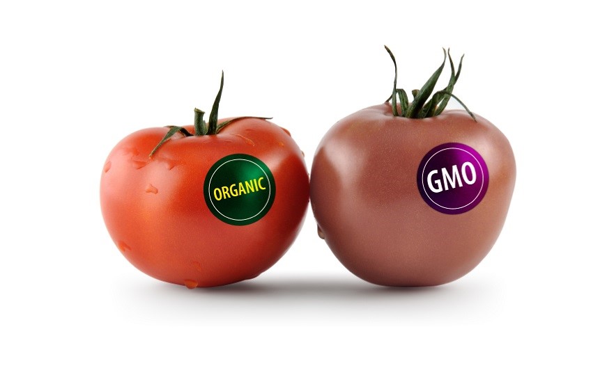Cách nhận biết thực phẩm biến đổi gen GMO - Bảo vệ sức khỏe của gia đình đúng cách