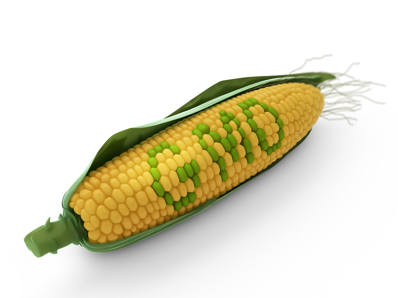 Thực phẩm biến đổi gen (GMO) là gì?